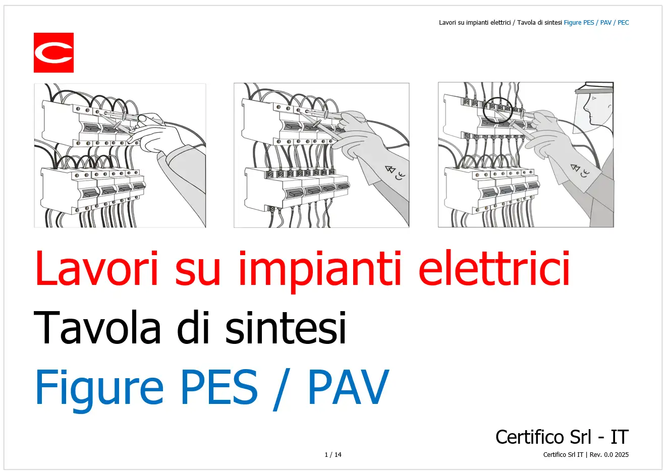 Lavori su impianti elettrici - Tavola di sintesi Figure PES - PAV
